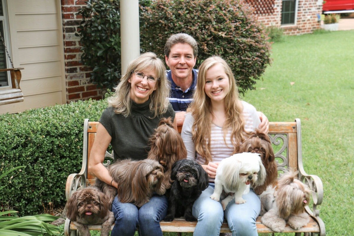 Shih Tzu breeder
